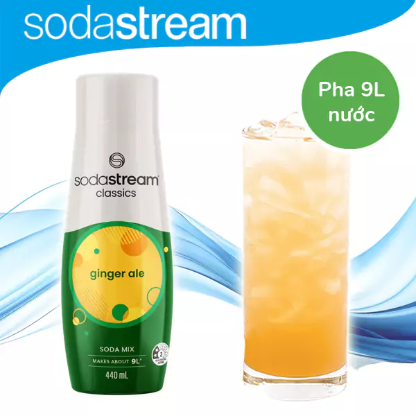 Ginger ale syrup - image 1