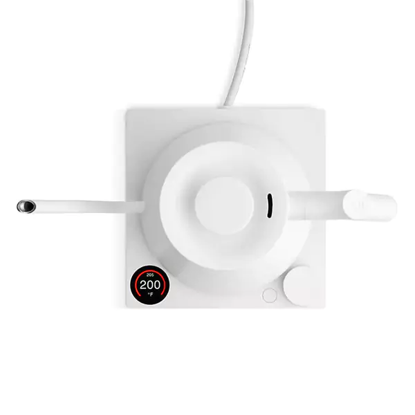 Stagg EKG Pro  - image 2