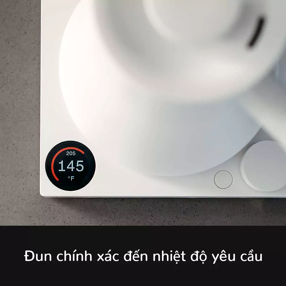 Stagg EKG Pro  - image 3