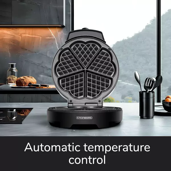 Steinborg - SB2050 - image 5